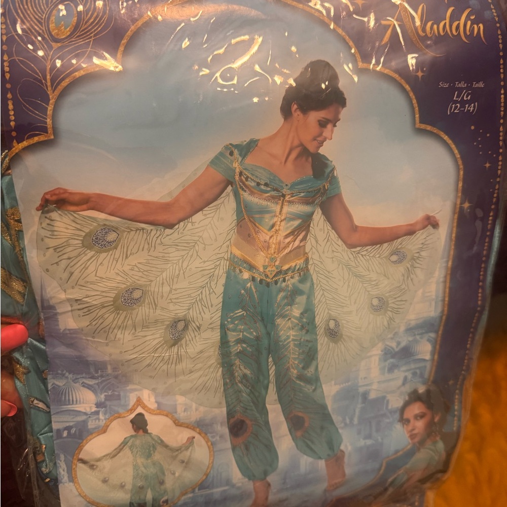 Aladdin Kids Costume - Teal and Gold